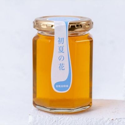 【国産】巣鴨養蜂園　純生はちみつ「初夏の花(ケンポナシ)」150g