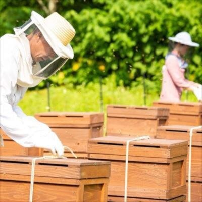 【国産】巣鴨養蜂園　純生はちみつ「初夏の花(ケンポナシ)」150g