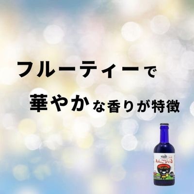 ヘリオス酒造【新着】わんこびぃる300ml瓶6本入り