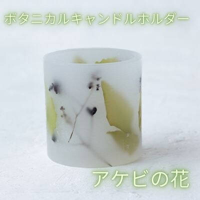 花鳥風月　ボタニカルキャンドルホルダー【アケビの花】