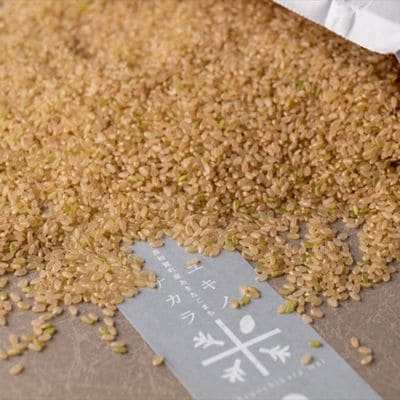 アースコネクト【令和8年度産】ユキノチカラ米　銀河のしずく　玄米4kg