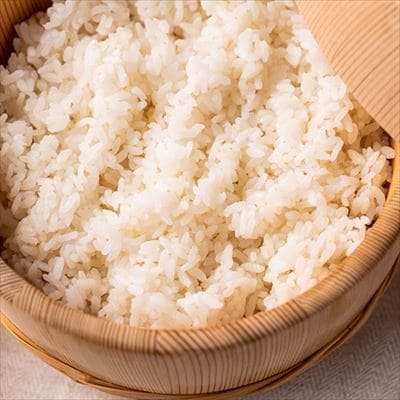 有馬富博【令和8年度産】「大地のぬくもり　富博&友子米」5kg