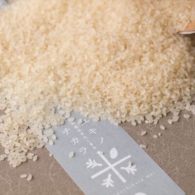 アースコネクト【令和8年度産】ユキノチカラ米　銀河のしずく　白米10kg
