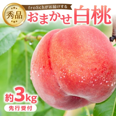 ≪先行受付≫ froSchがお届けするおまかせ白桃 約3kg 060-002