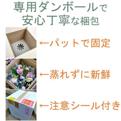 おまかせ　季節の花束プレミアム