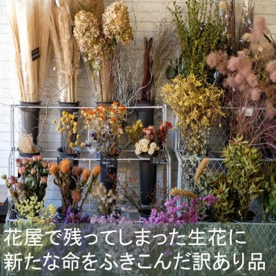 【訳あり】ドライフラワーのスワッグB