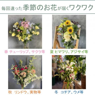 【2週間毎定期便】季節の花束　全24回