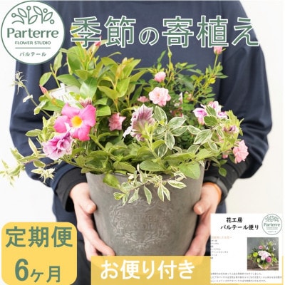 【毎月定期便】季節の寄せ植え　全6回
