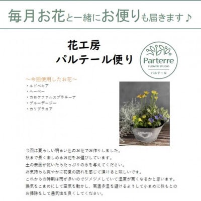 【毎月定期便】季節の寄せ植え　全6回