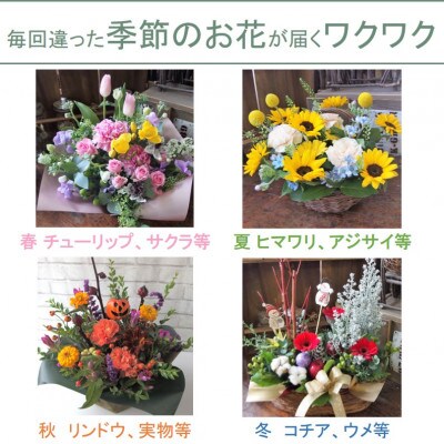 【毎月定期便】季節のフラワーアレンジメントA　全3回