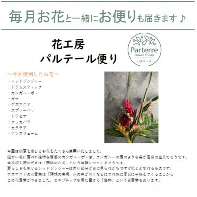【2週間毎定期便】季節の花束プレミアム　全24回