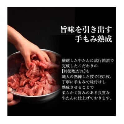 厳選!厚切り牛たん500g(K6-027)