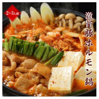 やまなか家 ホルモン鍋【 麺付き 】(K4-006)2～3人用