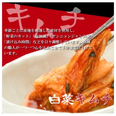 やまなか家 ホルモン鍋【 麺付き 】(K4-006)2～3人用