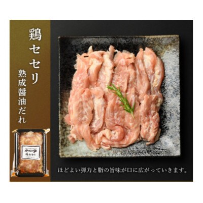 やまなか家のトリプルカルビ　食べ比べセット計700g(お肉600g+たれ100g)(G-010)
