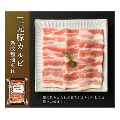 やまなか家のトリプルカルビ　食べ比べセット計700g(お肉600g+たれ100g)(G-010)
