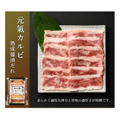 やまなか家のトリプルカルビ　食べ比べセット計700g(お肉600g+たれ100g)(G-010)