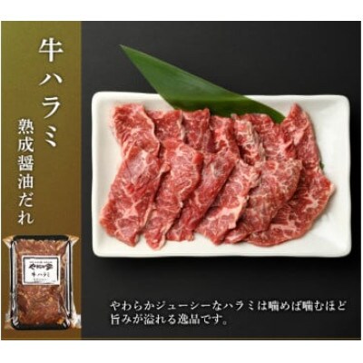 やまなか家 人気商品!3種セット!(G-008)
