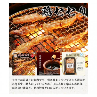 【やまなか家】極旨焼肉セット1kg(K3-013)