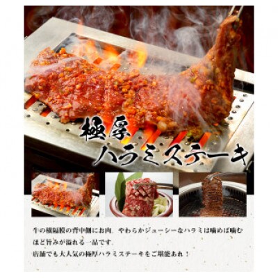 【やまなか家】極旨焼肉セット1kg(K3-013)