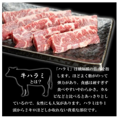 やまなか家　旨みたっぷり牛ハラミ【熟成醤油だれ】1kg(K2-025)