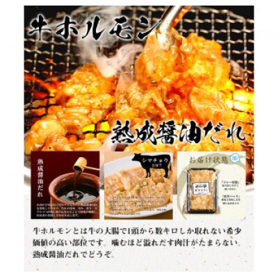 【やまなか家】スタミナ焼肉セット1.4kg(K3-011)