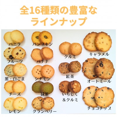 水曜屋クッキー16種セット