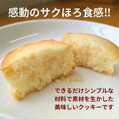 水曜屋クッキー16種セット