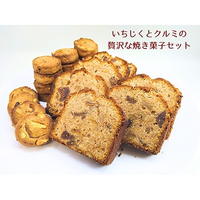 いちじくとクルミの贅沢な焼き菓子セット