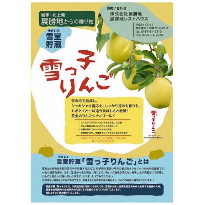 【雪室貯蔵】雪っ子りんご　シナノゴールド　3kg
