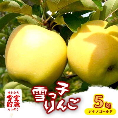 【雪室貯蔵】雪っ子りんご　シナノゴールド　5kg