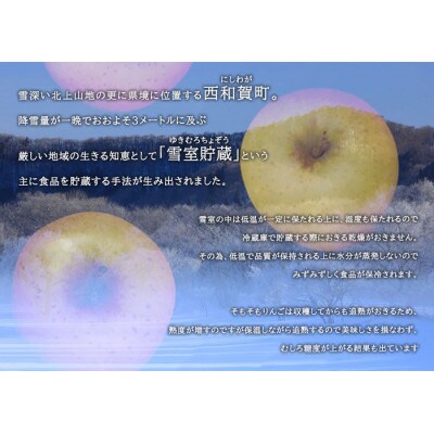 【雪室貯蔵】雪っ子りんご　シナノゴールド　10kg