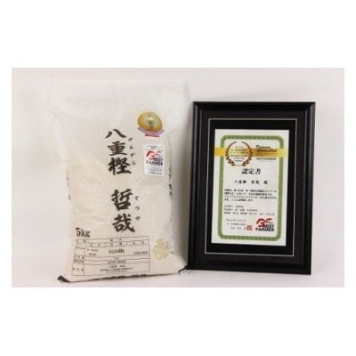 予約受付【令和7年産】九代目八重樫哲哉作 ひとめぼれ 5kg(精米)