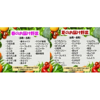 【8年連続1位】野菜セットA 7品 以上