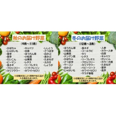 【8年連続1位】野菜セットA 7品 以上