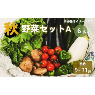 秋 野菜セットA 6品 以上