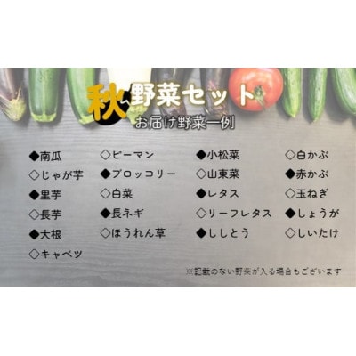 秋 野菜セットA 6品 以上