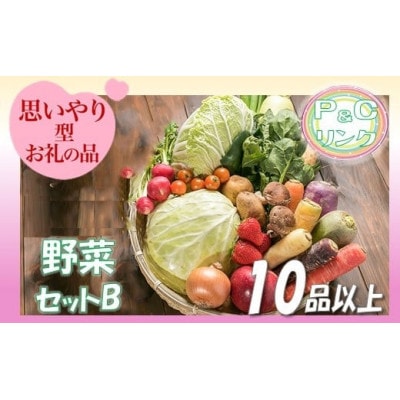野菜セットB 10品 以上