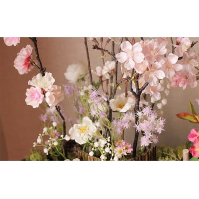 展勝地の桜なみき