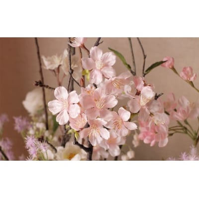 展勝地の桜なみき
