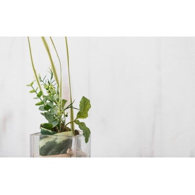 アートフラワー 空気をきれいにするハーブの寄せ植え 1個