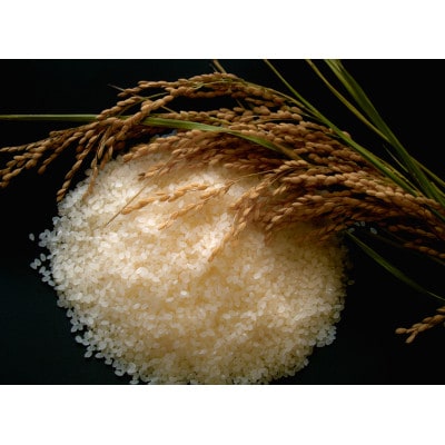 <令和6年産>岩手県北上市産ひとめぼれ(精米) 4kg(2kg×2袋)