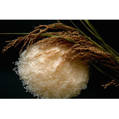 <令和6年産>岩手県北上市産ひとめぼれ(精米) 14kg(2kg×7袋)