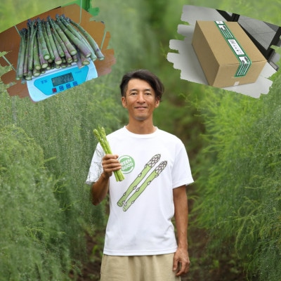 春!採りたてアスパラガス　約1.2kg