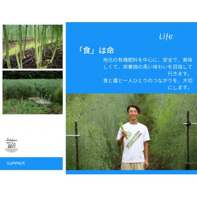 春!採りたてアスパラガス　約1.8kg