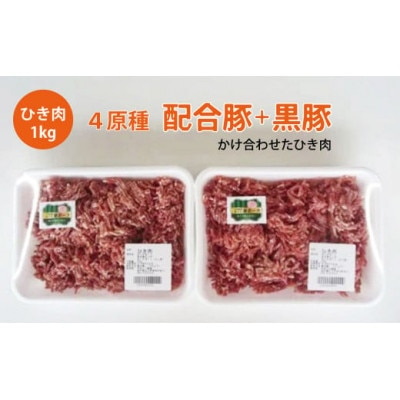 様々な料理にアレンジ自在!あぐり夢ポーク ひき肉1kg