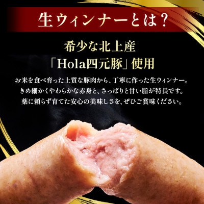 岩手県産四元豚 生ウインナーGIFTON 【ギフトン】150g×3パック