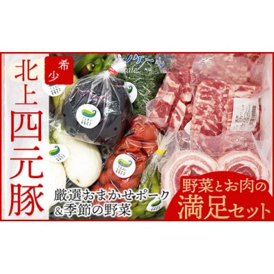 GIFTON 岩手・北上産 四元豚 厳選カット肉と野菜農家「うるおい春夏秋冬」季節の野菜セット