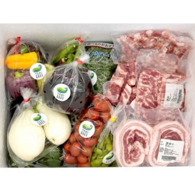 GIFTON 岩手・北上産 四元豚 厳選カット肉と野菜農家「うるおい春夏秋冬」季節の野菜セット