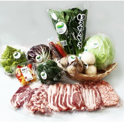 GIFTON 岩手・北上産 四元豚 厳選カット肉と野菜農家「うるおい春夏秋冬」季節の野菜セット